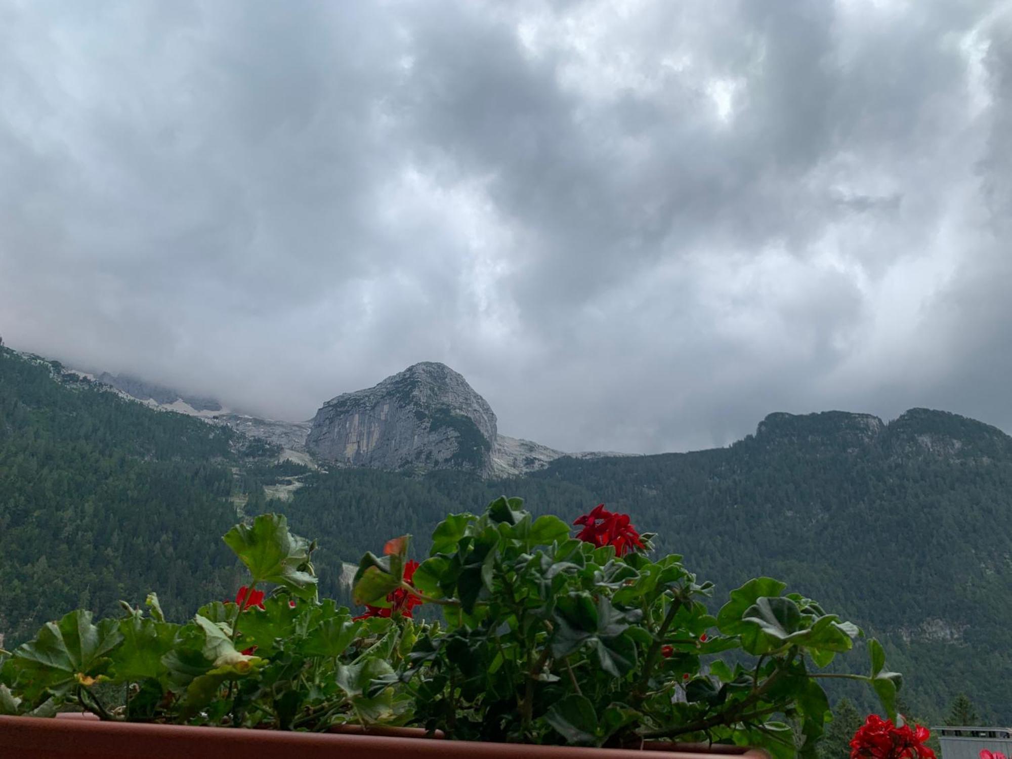 Casa Bambi Sella Nevea