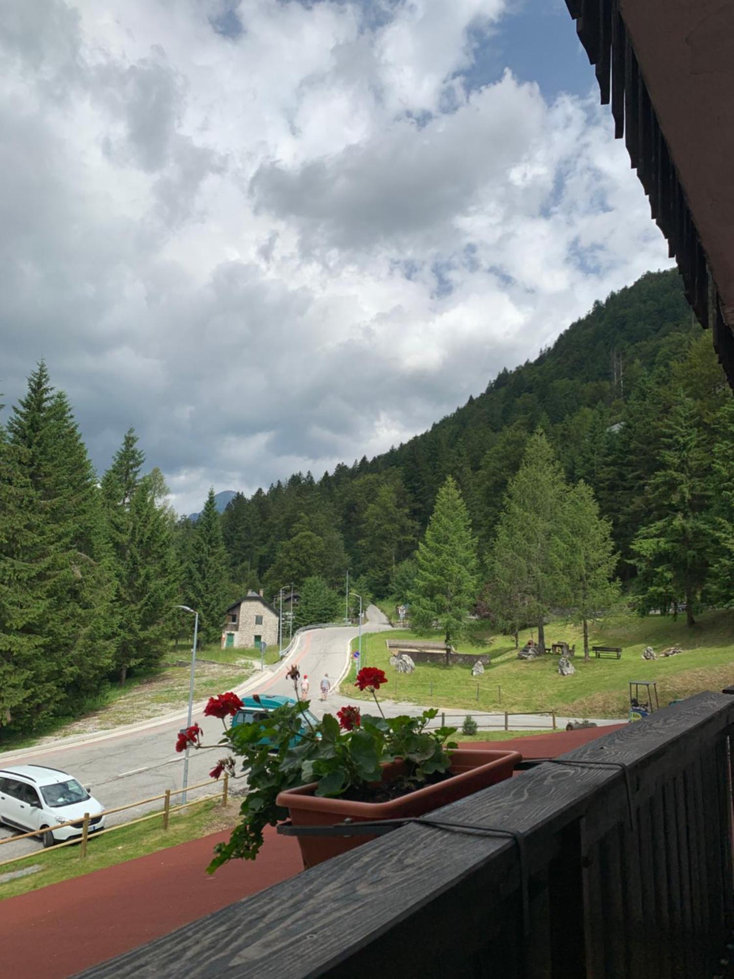 Casa Bambi *